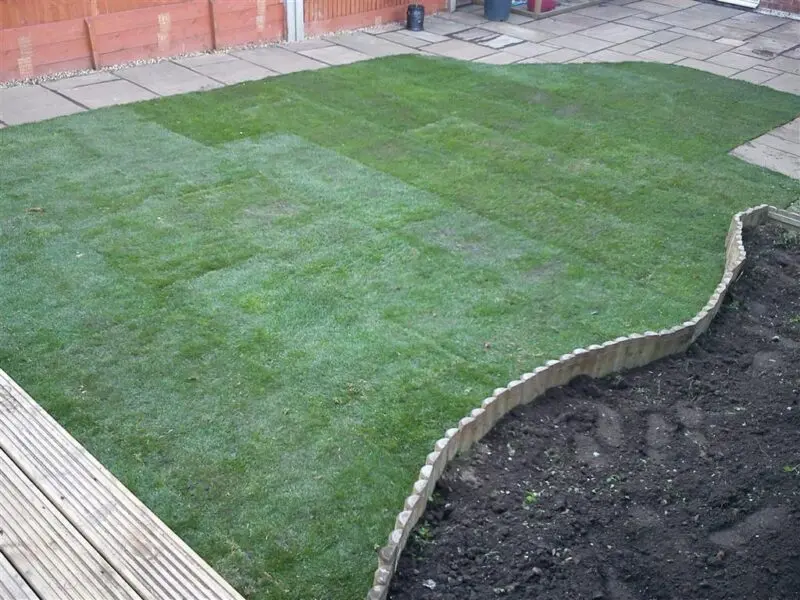 Lawn Turfing